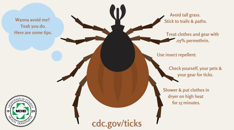 It might be snowing, but it's still tick and mosquito season. Watch out!