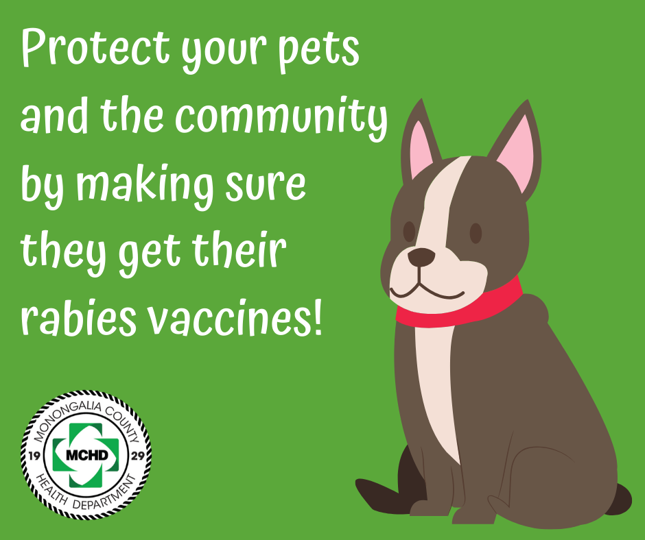 Don't let your guard down against rabies
