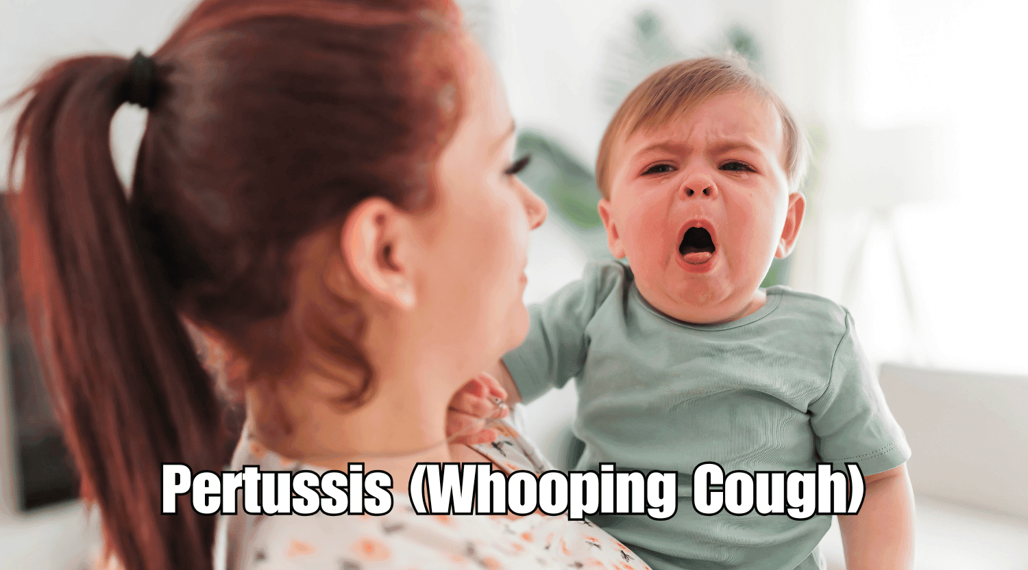 Pertussis (Whooping Cough)