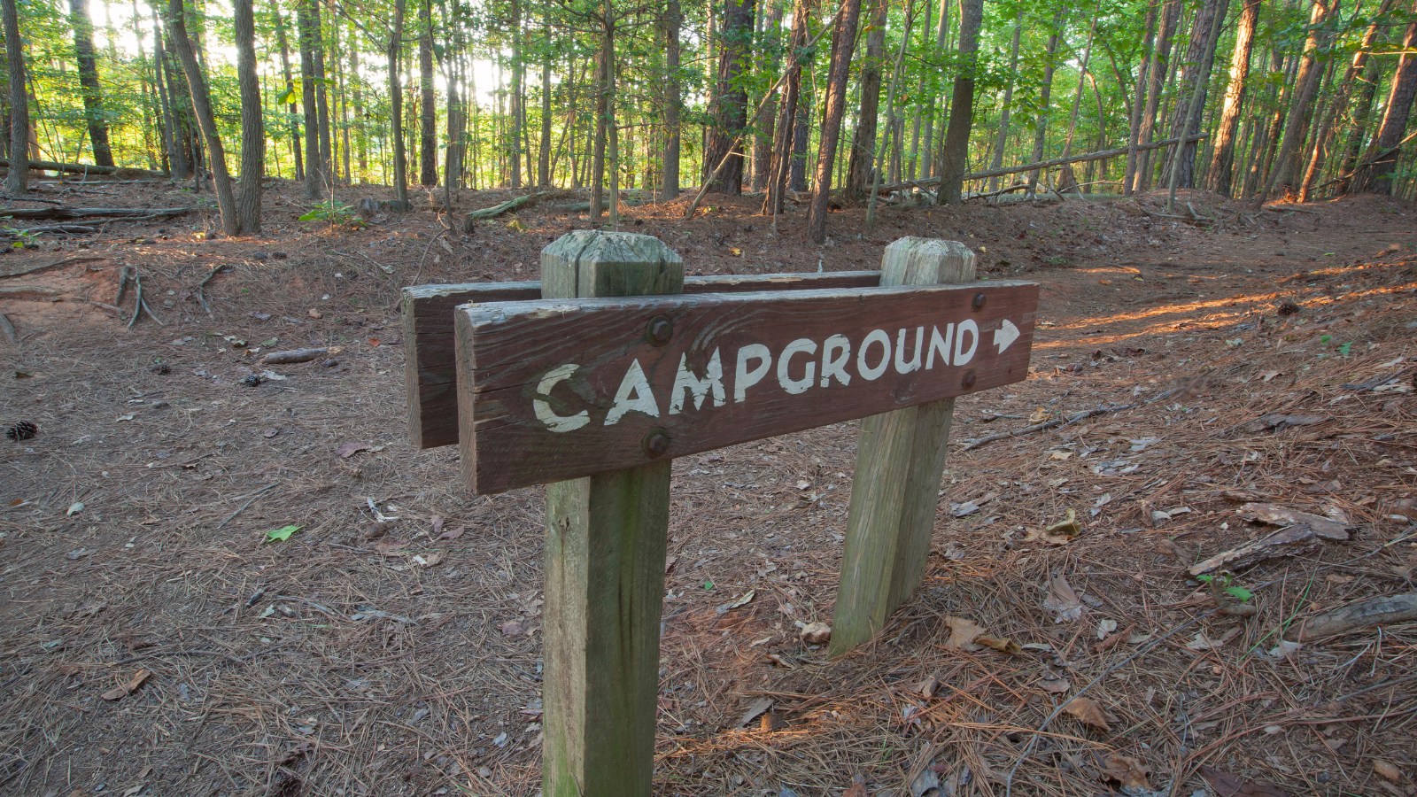 Campground Inspections
