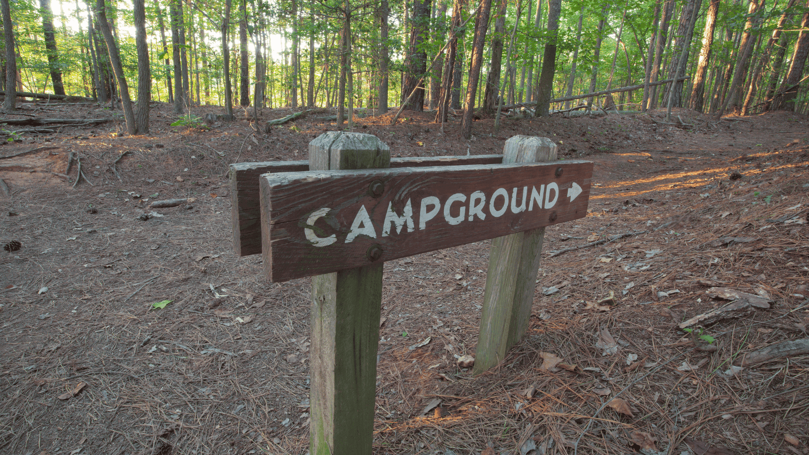 Campground Inspections
